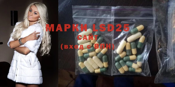 стафф Кодинск
