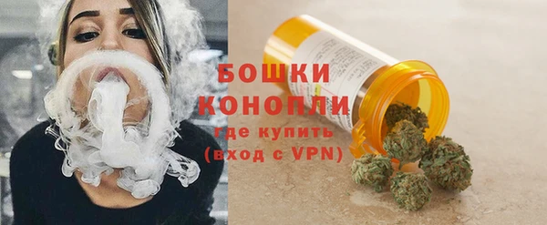ECSTASY Козловка