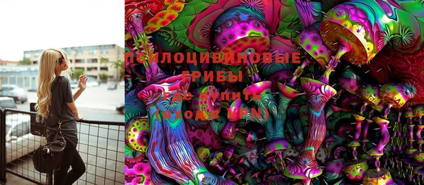 молекула духа Карпинск