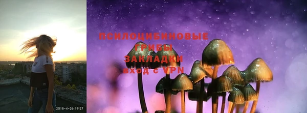 мяу мяу мука Корсаков