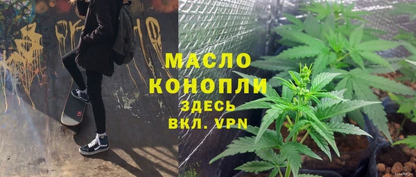дживик Козельск