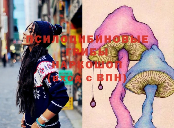 дживик Козельск