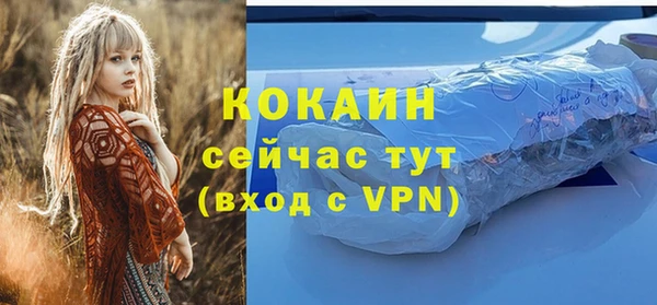 стафф Кодинск