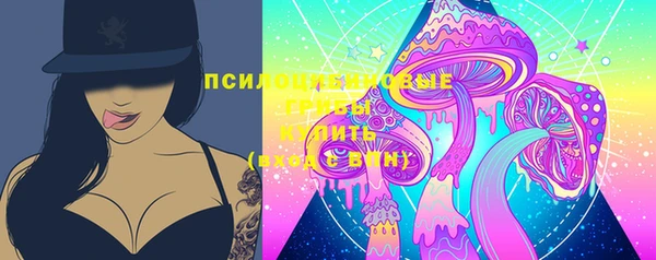 ECSTASY Козловка