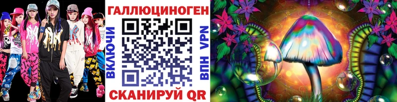 закладки  Курлово  Галлюциногенные грибы Psilocybine cubensis 