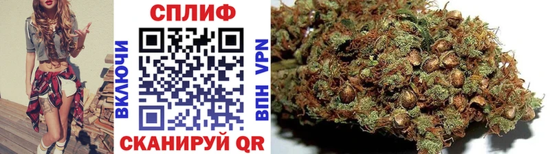 наркошоп  Курлово  Шишки марихуана тримм 